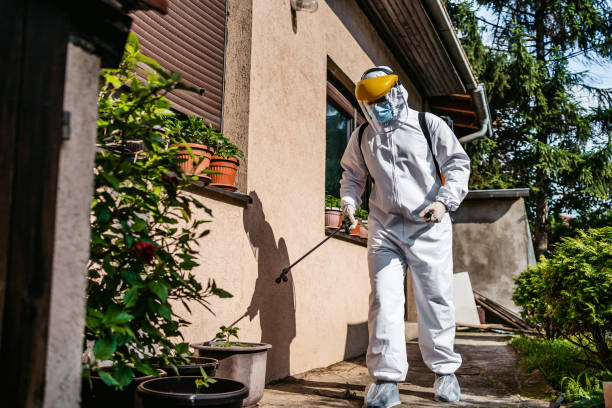 Best Wildlife Control Services  in Armada, MI