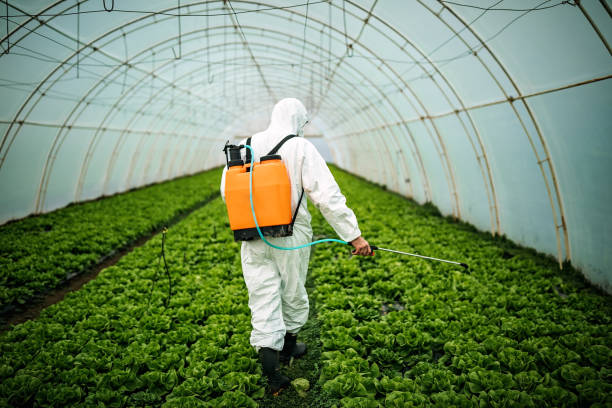 Best Mosquito Control Services  in Armada, MI
