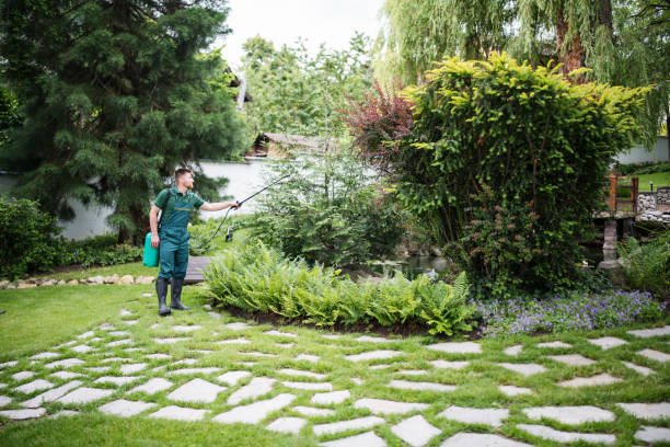 Best Pest Control Near Me  in Armada, MI