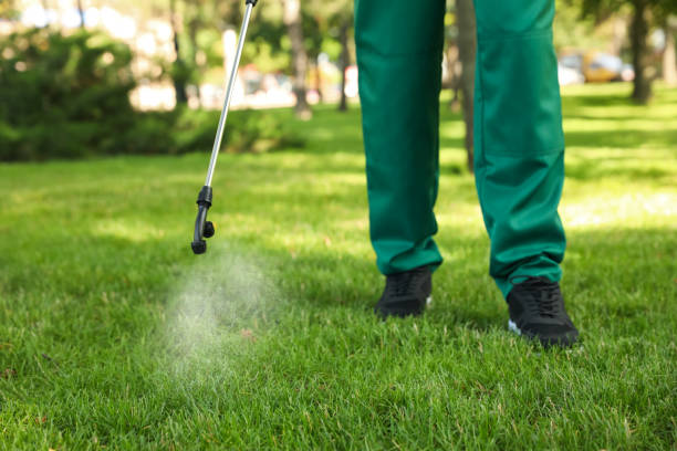 Best Best Pest Control Companies  in Armada, MI