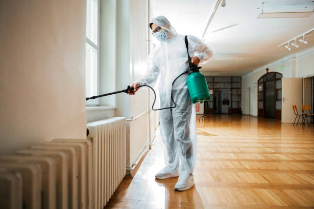 Best Emergency Pest Control  in Armada, MI