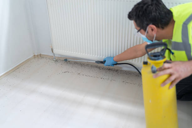 Pest Prevention Services in Armada, MI