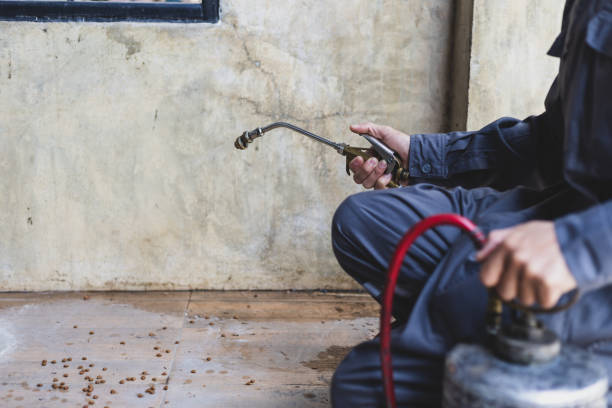 Best Pest Removal Services  in Armada, MI